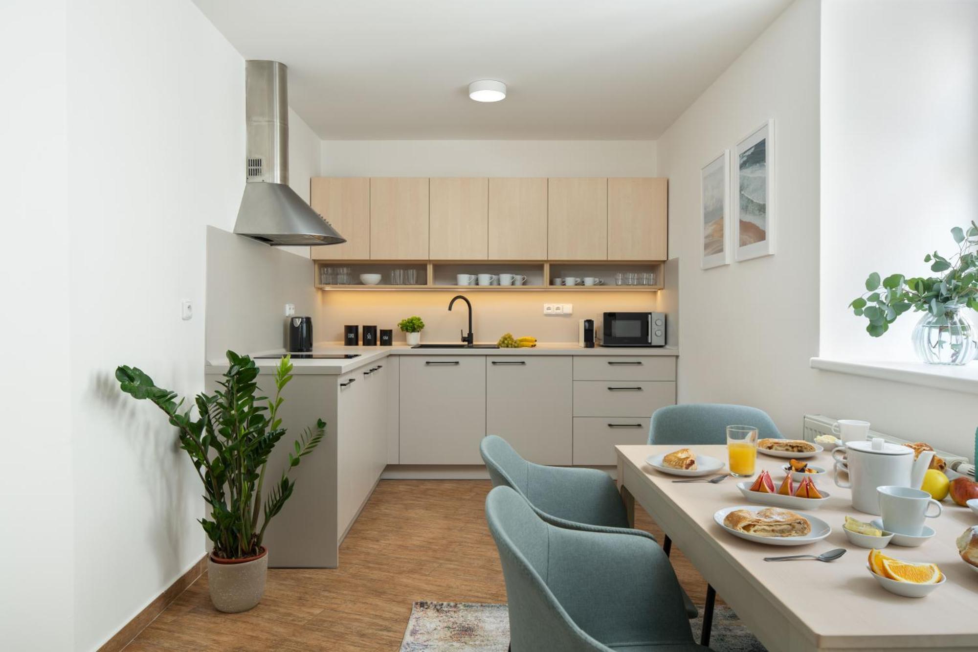 Zelny Trh Boutique Apartments #11 By Goodnite Cz Brno Dış mekan fotoğraf